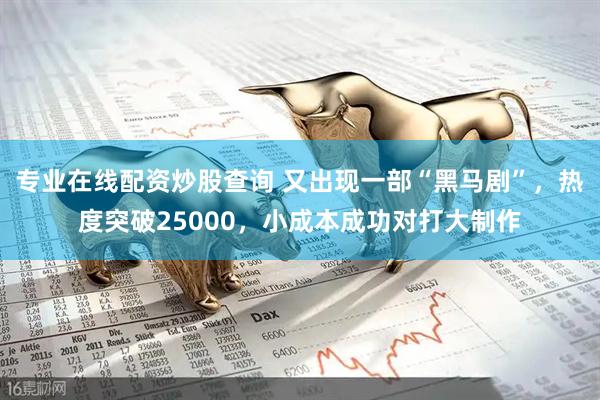 专业在线配资炒股查询 又出现一部“黑马剧”，热度突破25000，小成本成功对打大制作