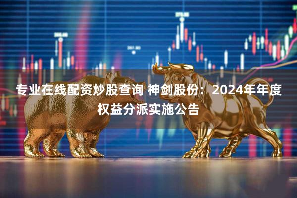 专业在线配资炒股查询 神剑股份：2024年年度权益分派实施公告