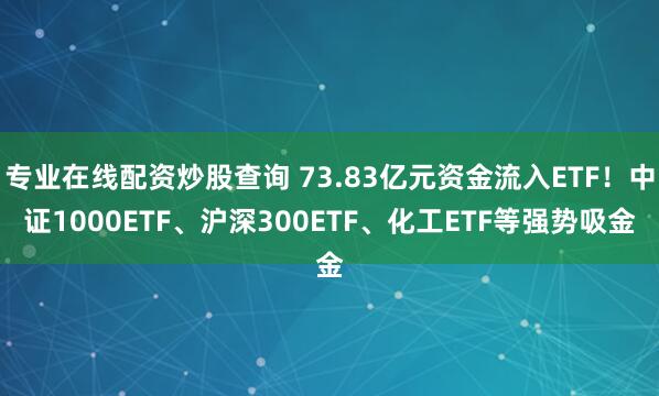 专业在线配资炒股查询 73.83亿元资金流入ETF！中证1000ETF、沪深300ETF、化工ETF等强势吸金