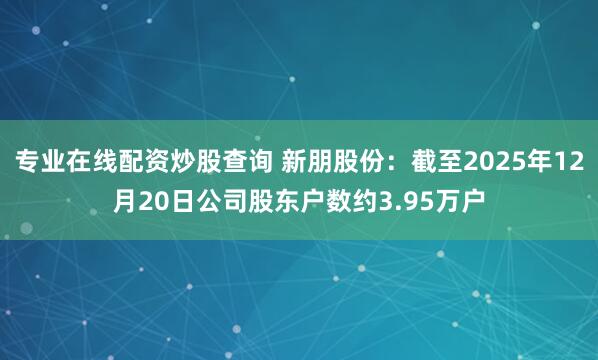 专业在线配资炒股查询 新朋股份:截至2025年12月20日公司股东户数约3.95万户